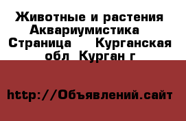 Животные и растения Аквариумистика - Страница 4 . Курганская обл.,Курган г.